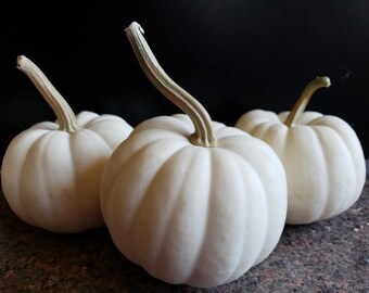 US-SELLER 10Pcs Magic Pumpkin Seeds,Rare Big Penis Melon Plants Vegetables Seeds