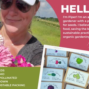 May include: A collection of rectangular seed packets with light blue labels featuring hand-drawn illustrations of vegetables like radishes, cabbage, and spinach, with text detailing planting depth, spacing, and maturity in inches.