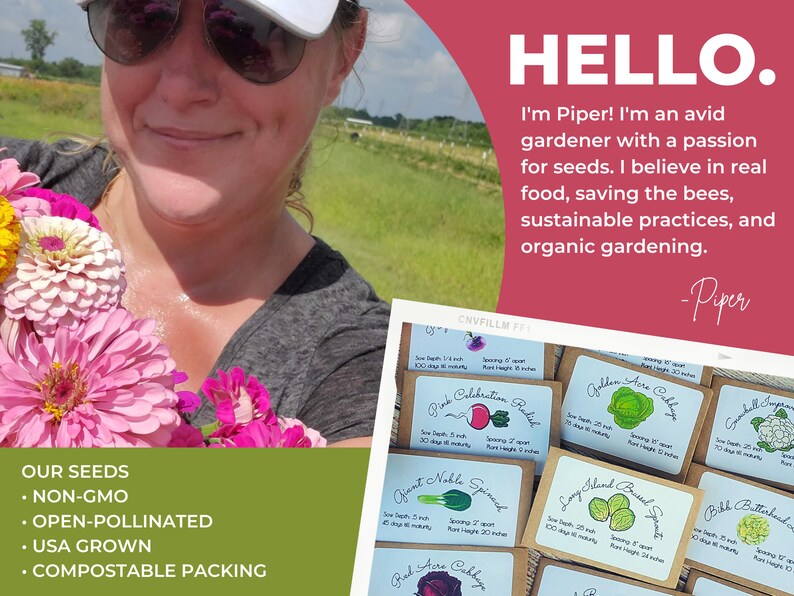 May include: A collection of rectangular seed packets with light blue labels featuring hand-drawn illustrations of vegetables like radishes, cabbage, and spinach, with text detailing planting depth, spacing, and maturity in inches.
