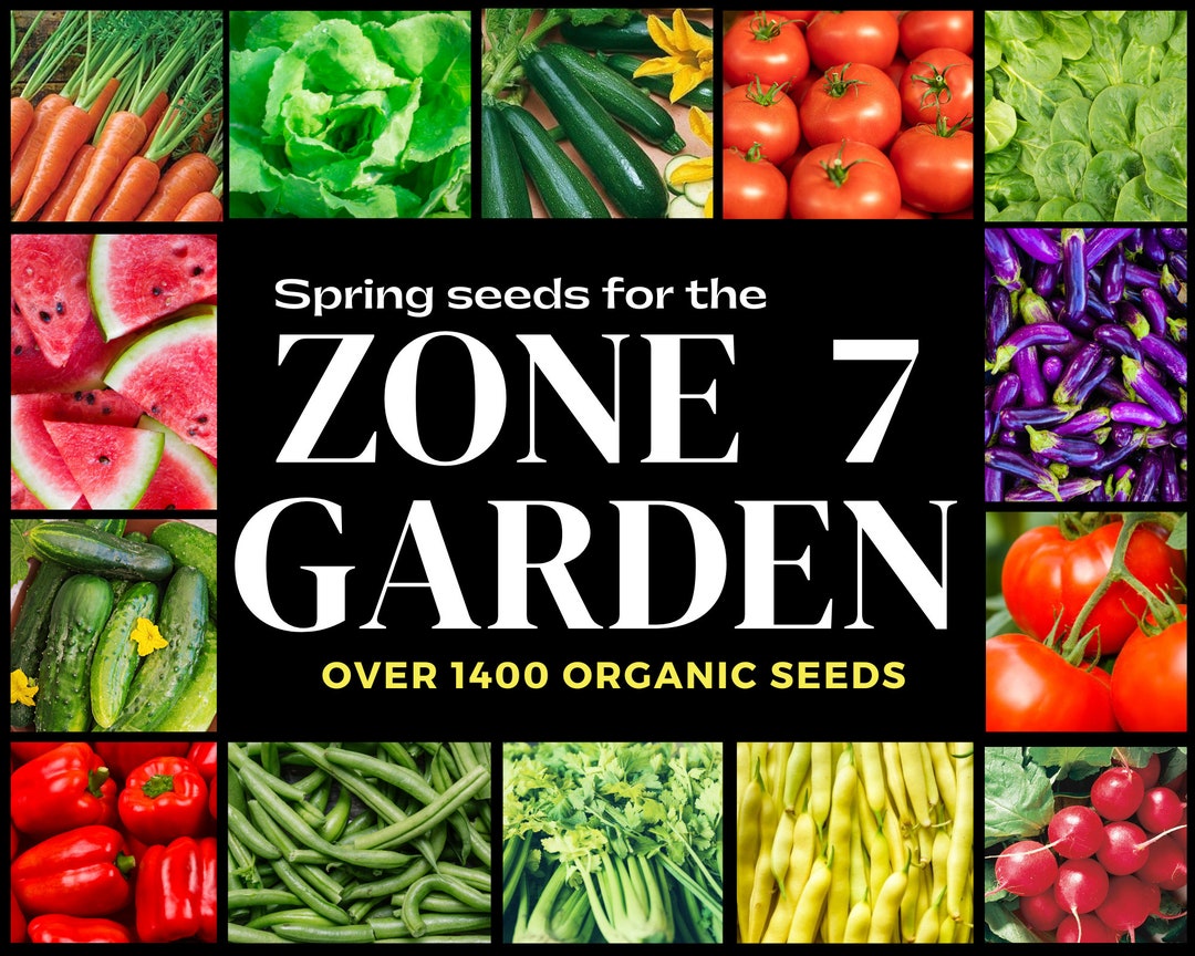 Zone 7 Seeds Zone 7 Calendar 14 Vegetable Seed Varieties Etsy