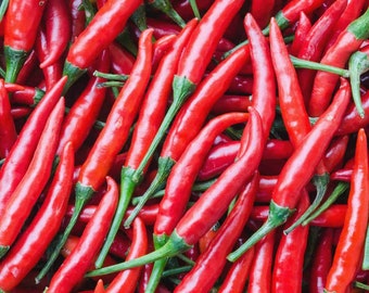 25+ Long Red Cayenne Pepper Seeds! Hot pepper seeds, great for cooking, salsas, drying. Organic and Open Pollinated Seeds, USA Seed Seller