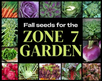 Puede incluir: Un collage de varias verduras que incluye zanahorias, col morada, col rizada, brócoli, coles de Bruselas, bok choy, lechuga, rábanos, colinabo y acelgas con el texto Fall seeds for the ZONE 7 GARDEN centrado sobre un fondo negro.
