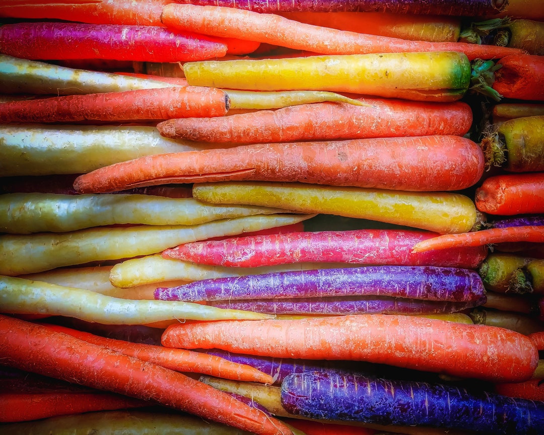 Rainbow Carrot Seeds 100 Seeds in Rainbow Mix Purple Carrots Red