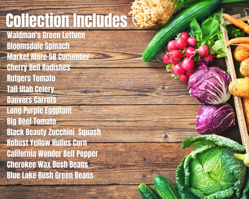 Zone 7 Seeds Zone 7 Calendar 14 Vegetable Seed Varieties Etsy