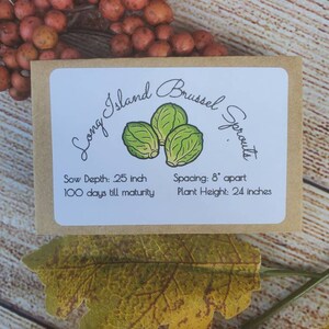 May include: A rectangular seed packet with a kraft paper border and white center label. The text reads Long Island Brussel Sprouts, Sow Depth: .25 inch, Spacing: 8 inches apart, 100 days till maturity, and Plant Height: 24 inches with a green illustration.
