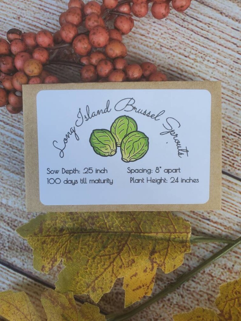 May include: A rectangular seed packet with a kraft paper border and white center label. The text reads Long Island Brussel Sprouts, Sow Depth: .25 inch, Spacing: 8 inches apart, 100 days till maturity, and Plant Height: 24 inches with a green illustration.