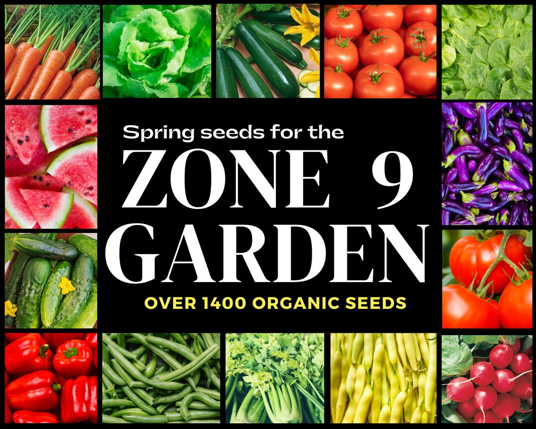 Zone 9 Seeds Zone 9 Calendar, 14 Vegetable Seed Varieties, Over 1400