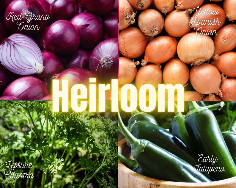 GESCHENK FÜR GÄRTNER Salsa Samen Geschenk-Set 8 Sorten 500 | Etsy