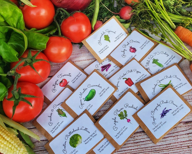 Zone 7 Seeds Zone 7 Calendar 14 Vegetable Seed Varieties Etsy