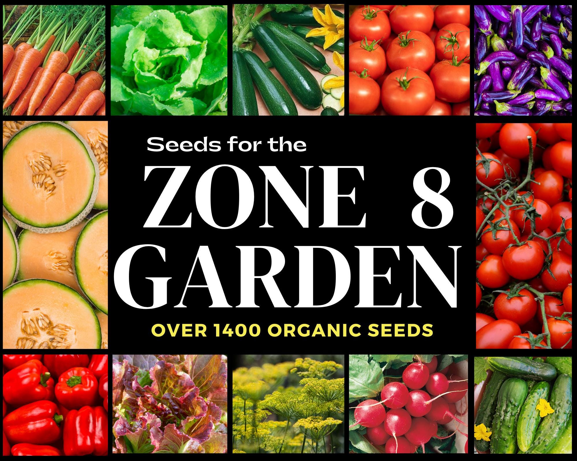 Zone 8 - 2025 Spring Harvest Garden Kit, Organic, Nongmo