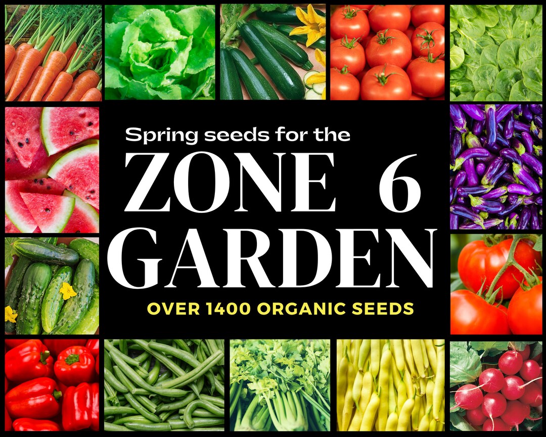 zone-6-seeds-zone-6-calendar-organic-nongmo-heirloom-etsy