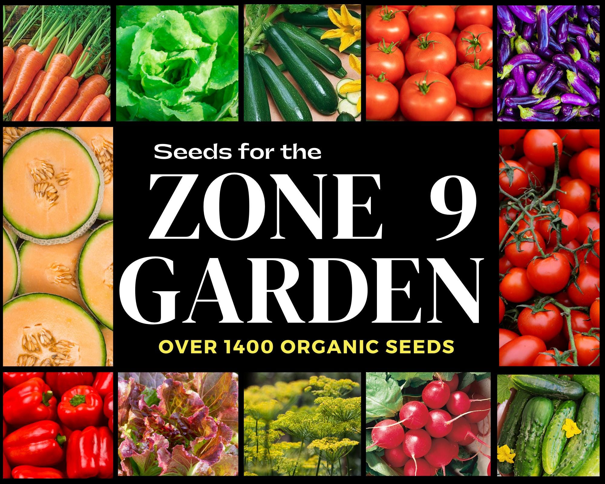 Zone 9 - Kit de jardinage de récolte de printemps 2025, Biologique, sans OGM, Héritage, Graines à pollinisation libre, Potager, Graines de jardin, 12 variétés