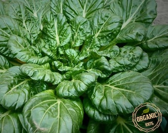 Giant Noble Spinach Seeds, Frost Hardy, Vegetable Seed, Seed Packets,  NonGMO, Heirloom, USA seller, Organic Seeds, Spinach Seed
