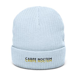 Carpe Noctem Unisex Embroidered Baby Blue and Grey Ribbed knit beanie