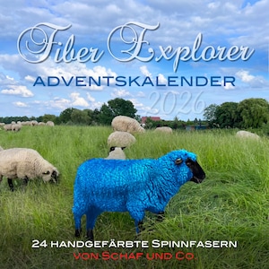 Faser-Adventskalender »Fiber Explorer« – 24 gefärbte Kammzüge (insgesamt 480g Fasern)