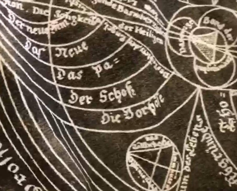 Stretch Cotton Fabric. Zodiac Fabric for Dress Scorpio Cotton Fabric