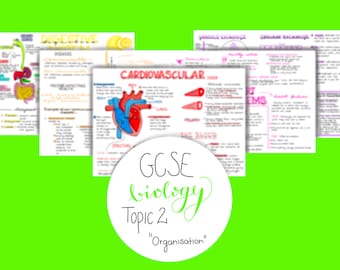 Notas de revisión de biología de GCSE / Tema 2: Organización