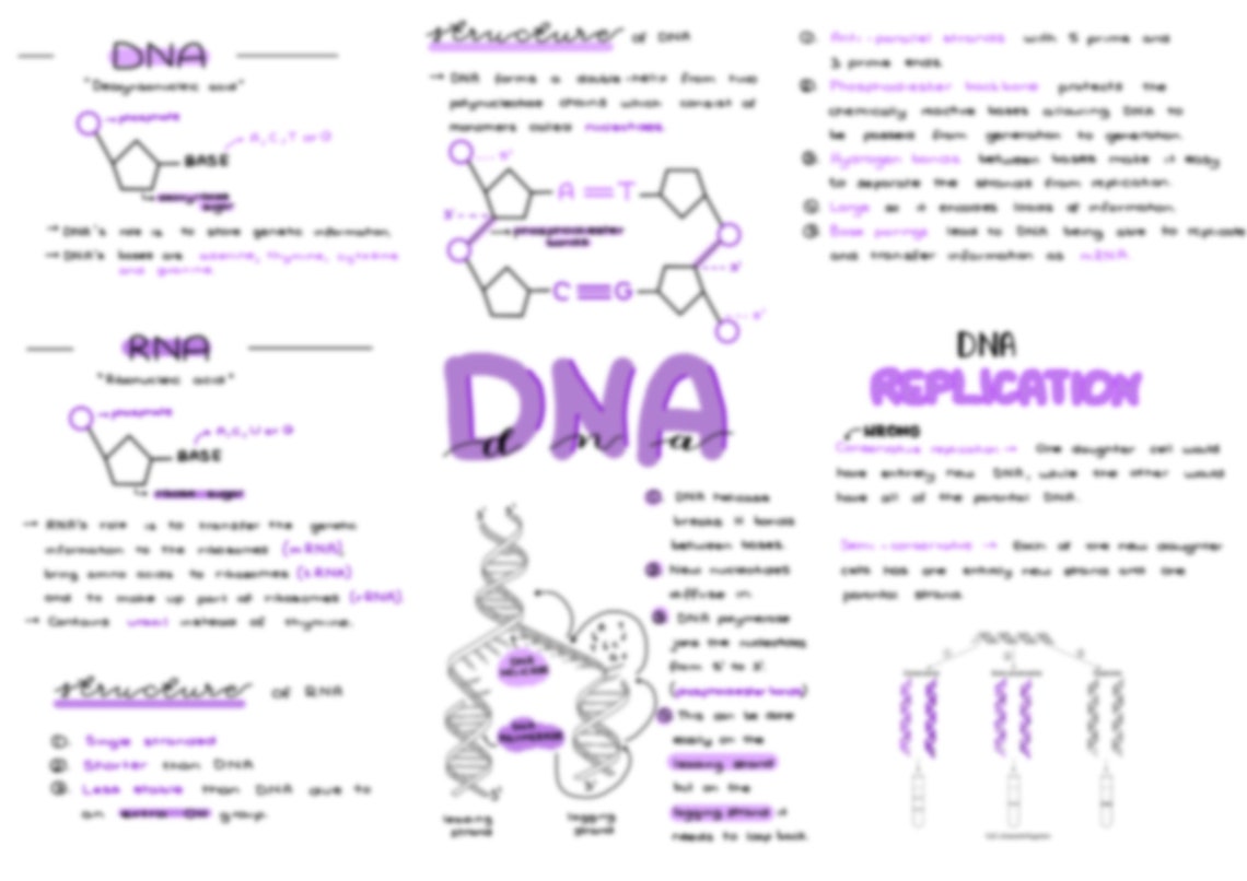 A Level Biology Notes - Topic 1 "biological Molecules" - Etsy
