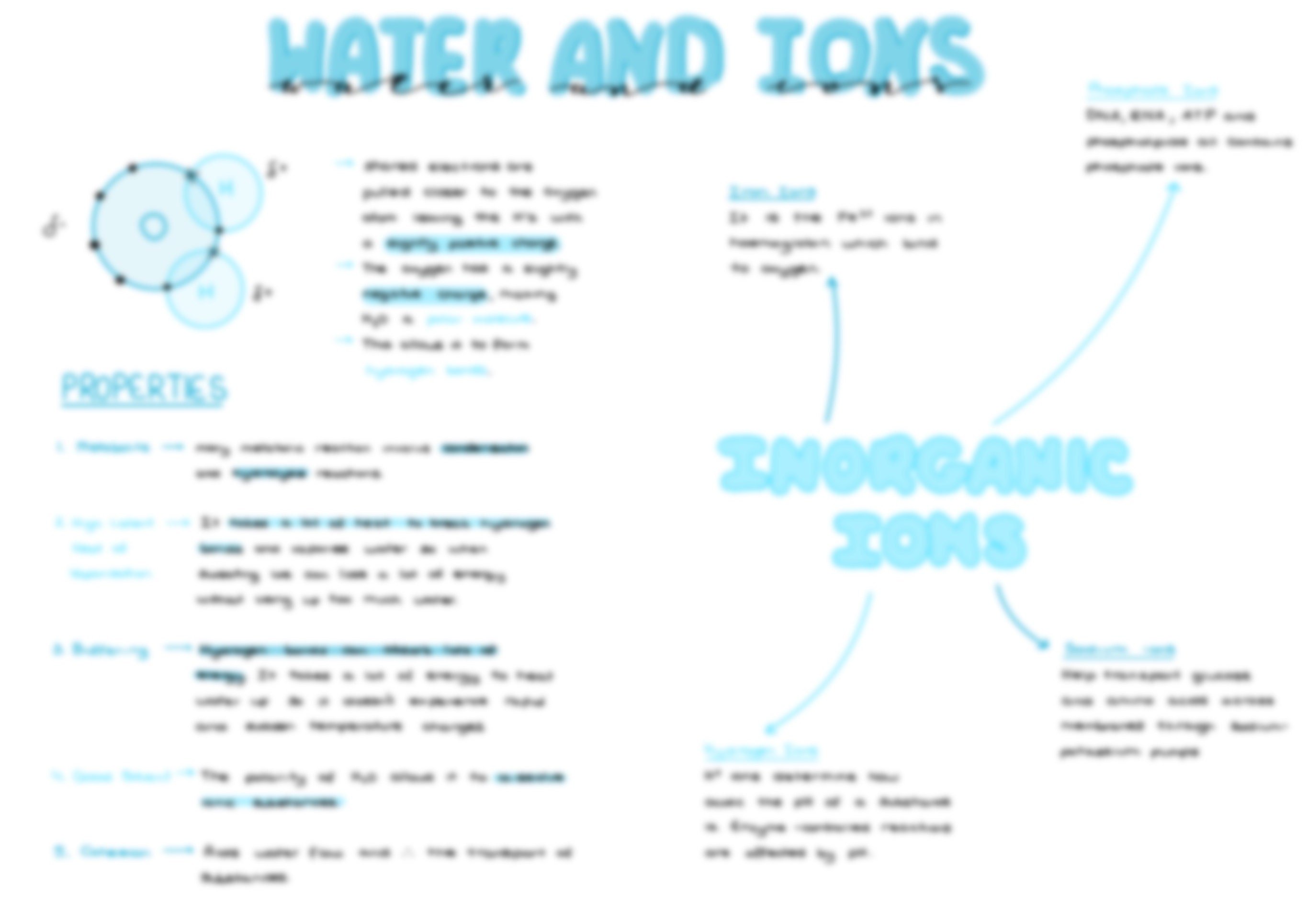 A Level Biology Notes Topic 1 biological Molecules - Etsy