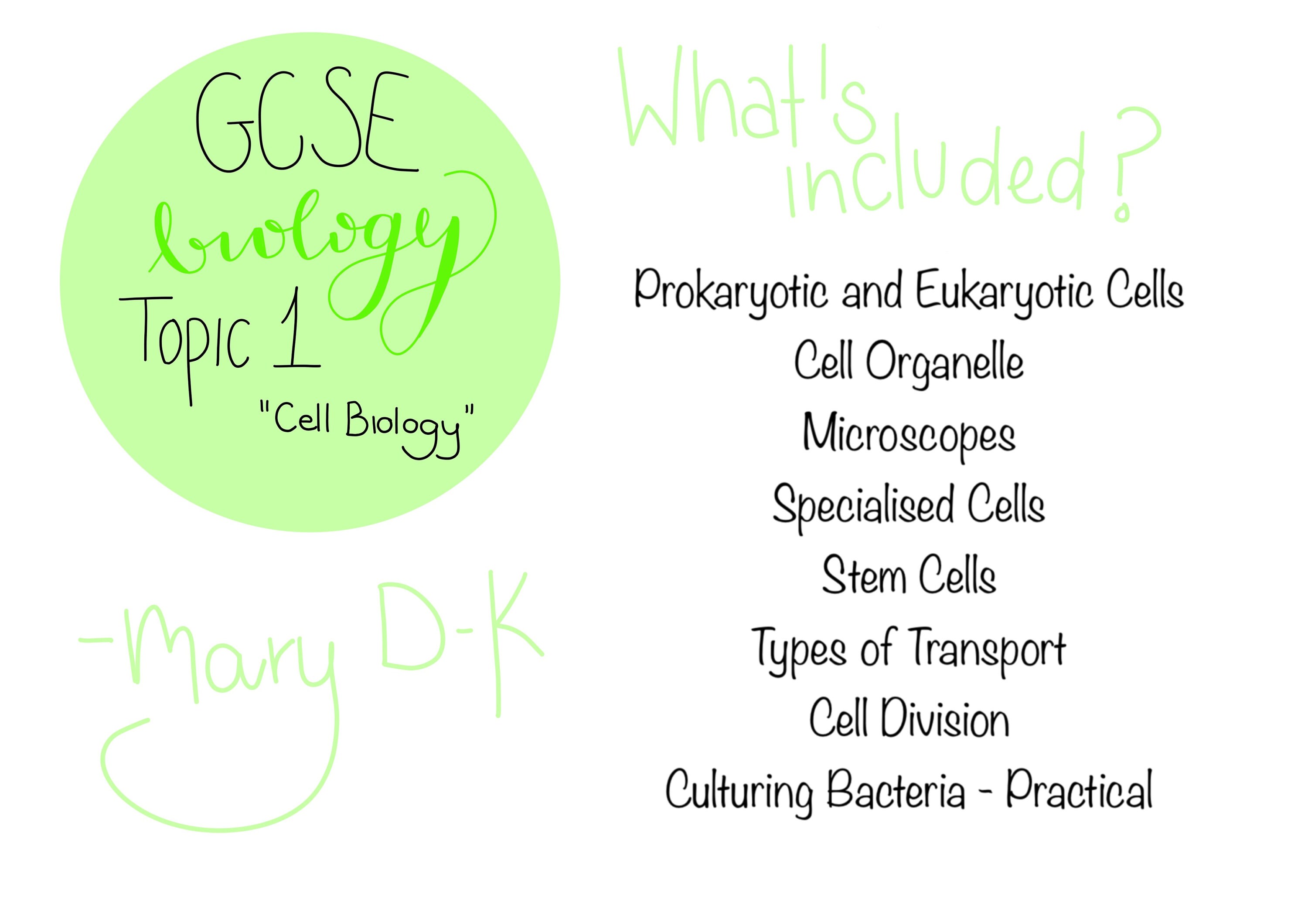 GCSE Biology Revision Notes Topic 1 Cell Biology Etsy UK Gcse biology revision notes topic 1 cell biology etsy uk