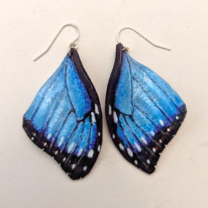 May include: A pair of blue butterfly wing earrings with silver hooks. The wings are iridescent and have black and white markings.