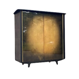 Midcentury Modern Wardrobe