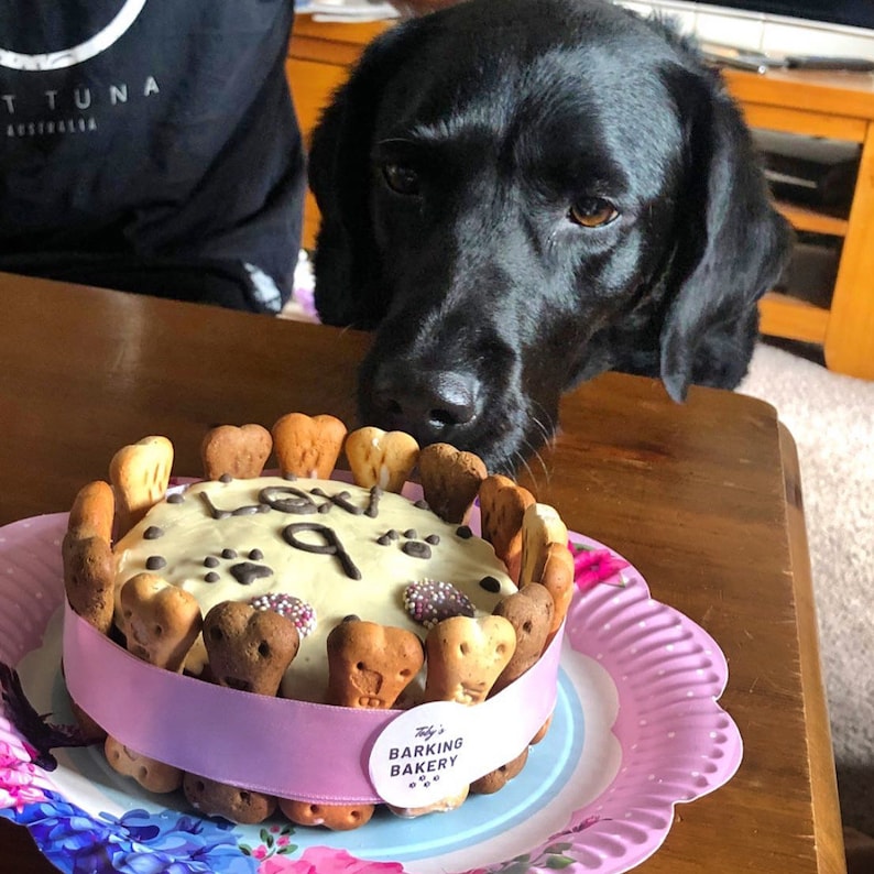 Dog Birthday Cake Homemade Healthy Dog treats Dog Etsy