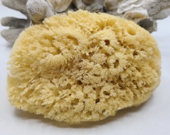 All Natural Sea Sponge