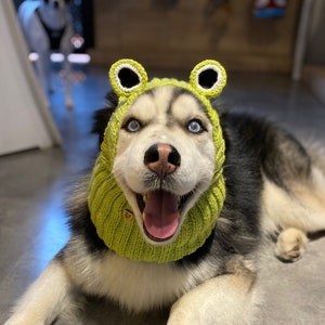 Frog Dog Snood, Froggy Dog Hat, Knit Frog Pet Hat, Frog Dog Beanie, Halloween Frog Costume, Cute Dog Hat, Funny Cat Hat, Dog Ear Warmer