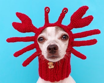 Crab Dog Hat, Crab Dog Snood, Crab Dog Costume, Pet Ear Warmer, Halloween Crab Costume, Knit Pet Hat, Funny Dog Hat, Crochet Cat Beanie