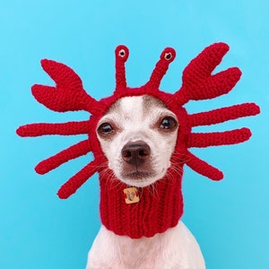 Crab Dog Hat, Crab Dog Snood, Crab Dog Costume, Pet Ear Warmer, Halloween Crab Costume, Knit Pet Hat, Funny Dog Hat, Crochet Cat Beanie