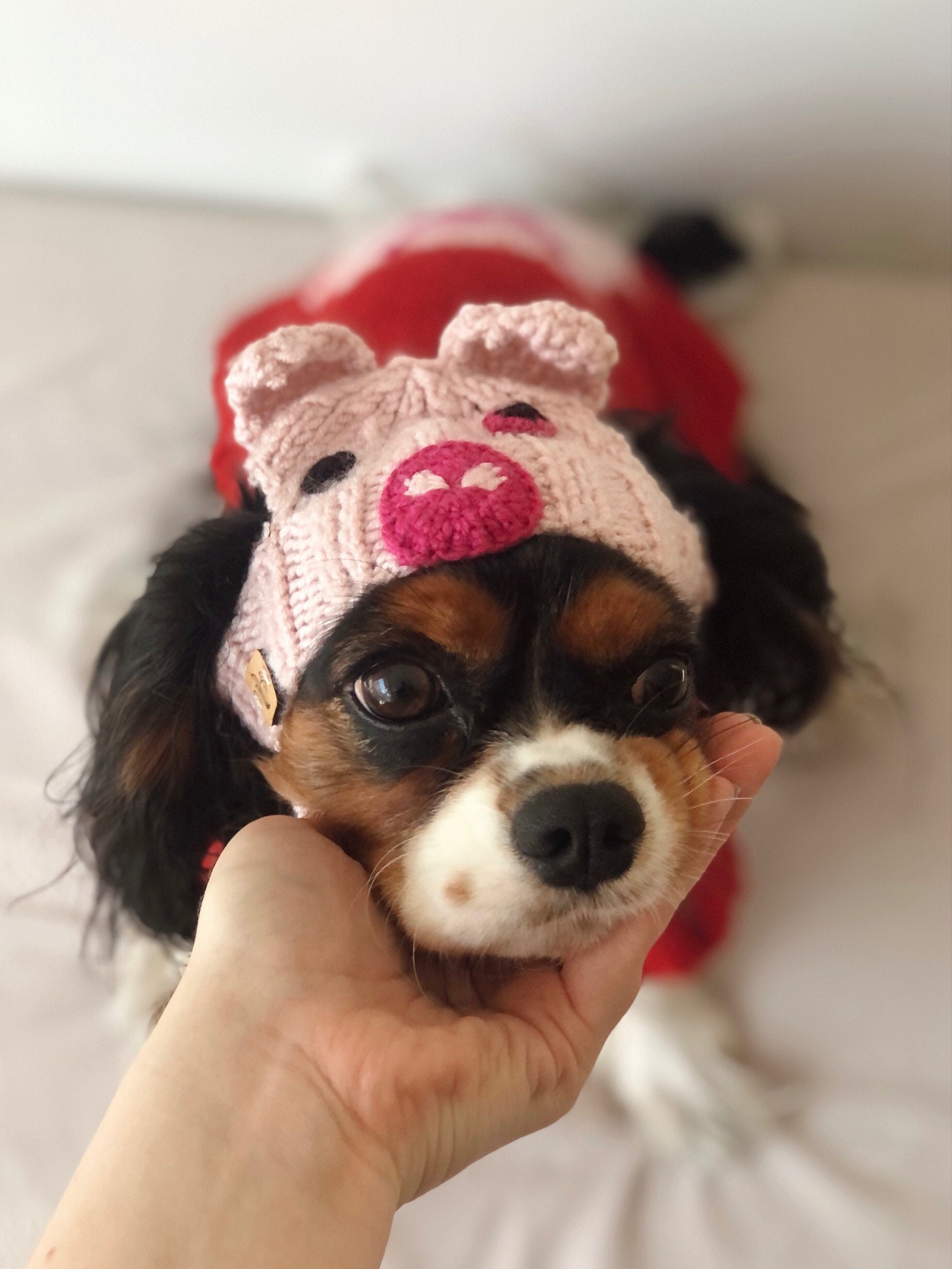 Pig Dog Beanie Piglet Dog Hat Pet Hat With Ear Holes - Etsy