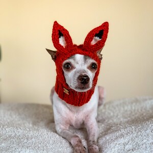 Puede incluir: Un peque&ntilde;o perro blanco con un gorro de zorro de punto rojo con orejas ca&iacute;das. El perro est&aacute; tumbado en una manta blanca y esponjosa.