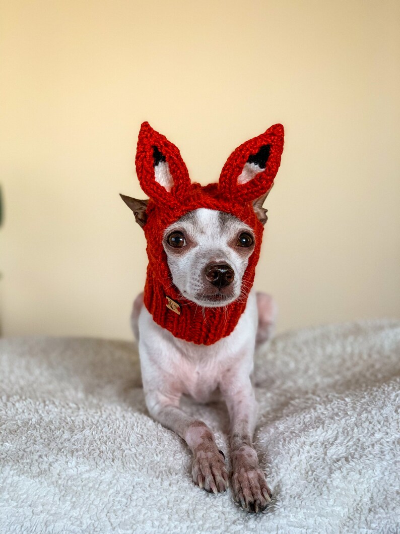 Puede incluir: Un peque&ntilde;o perro blanco con un gorro de zorro de punto rojo con orejas ca&iacute;das. El perro est&aacute; tumbado en una manta blanca y esponjosa.