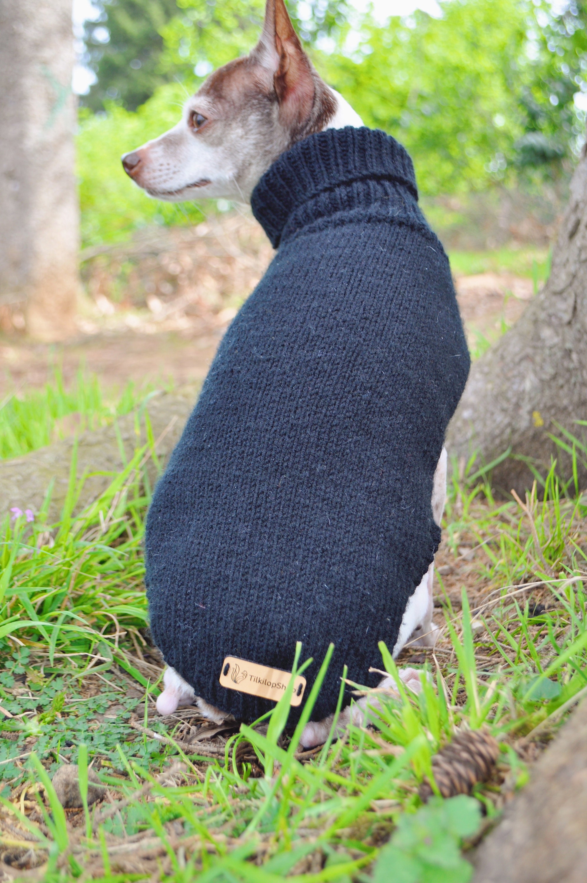 Snood Hund Pullover ärmellose Hund Pullover Frühling Hund Etsy