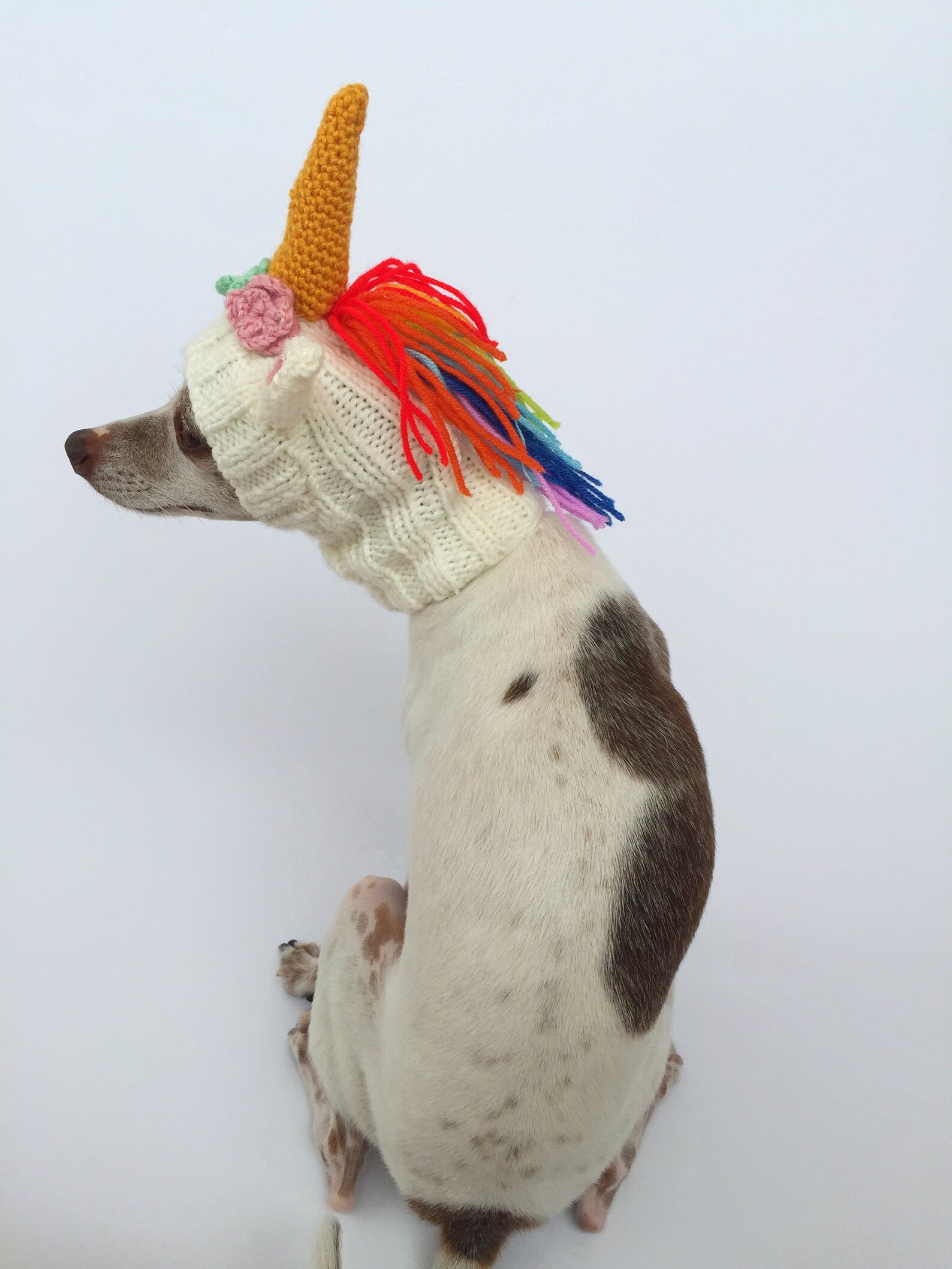 Unicorn Dog Snood Dog Unicorn Horn Halloween Dog Hat Etsy