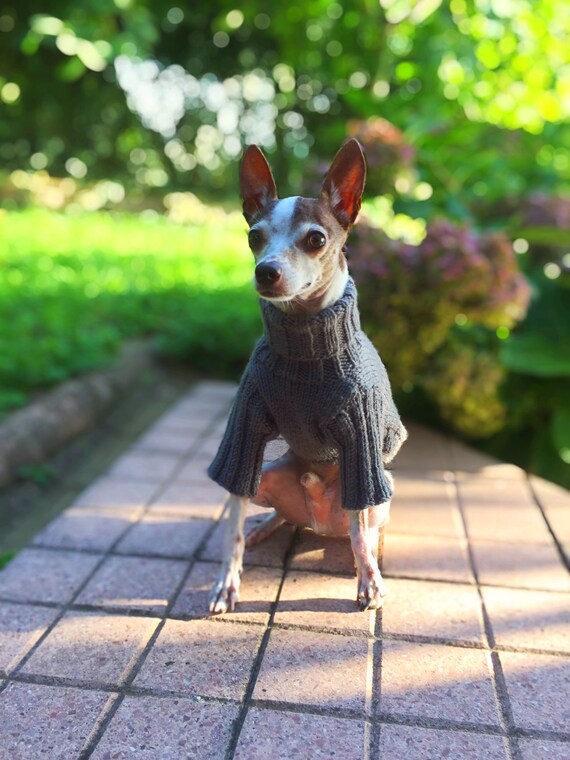 long sleeve dog coats