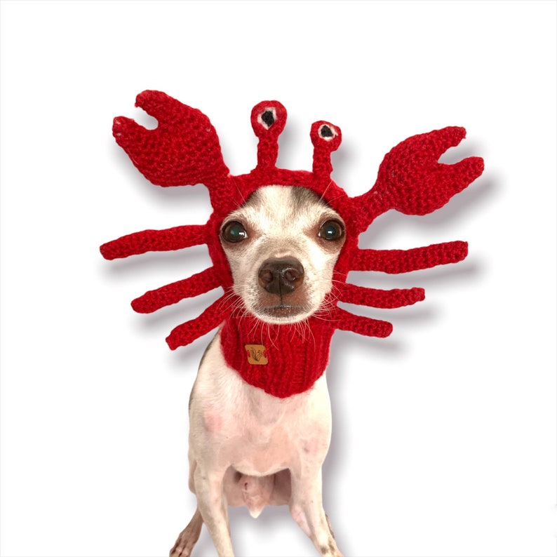 Crab Dog Hat Crab Dog Snood Crab Dog Costume Pet Ear | Etsy