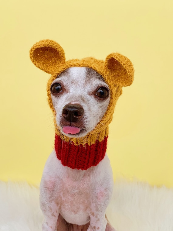 Dog sweater store from beanie