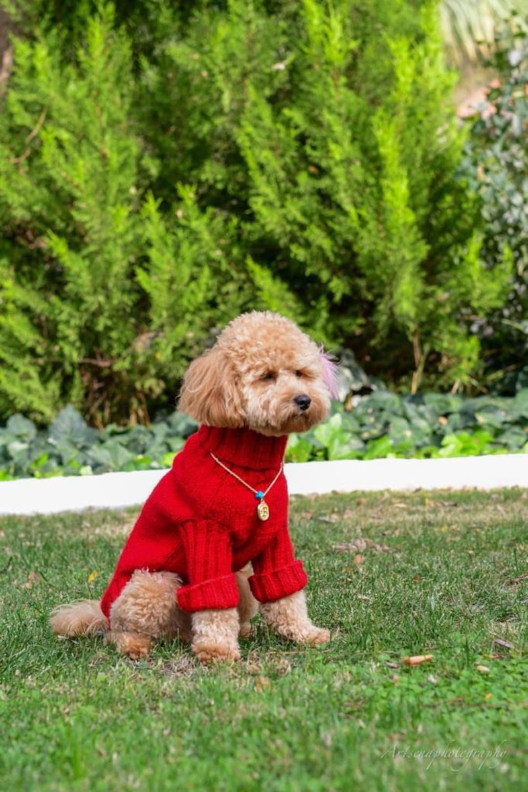 KYEESE Dog Sweaters with Golden Thread Red Turtleneck Dog Cable Knit Pullover Cold Weather Pet Sweat KYEESE Turtleneck Dog Sweater XX-Large Beige - Golden Yarn Knitwear for  Warmth in Fall \u0026 Winter