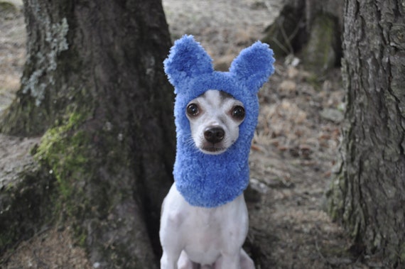 Dog sweater from beanie hot sale