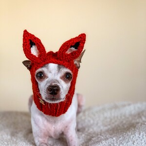 Puede incluir: Un peque&ntilde;o perro blanco con un gorro de zorro de punto rojo con orejas puntiagudas. El perro est&aacute; sentado sobre una superficie blanca y esponjosa.