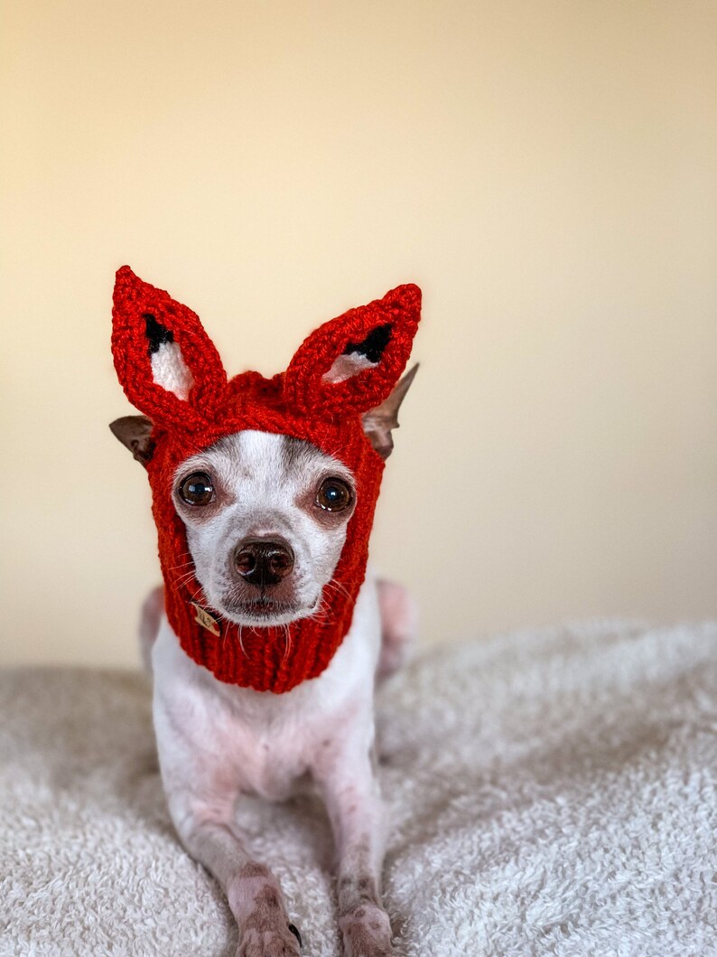 Puede incluir: Un peque&ntilde;o perro blanco con un gorro de zorro de punto rojo con orejas puntiagudas. El perro est&aacute; sentado sobre una superficie blanca y esponjosa.