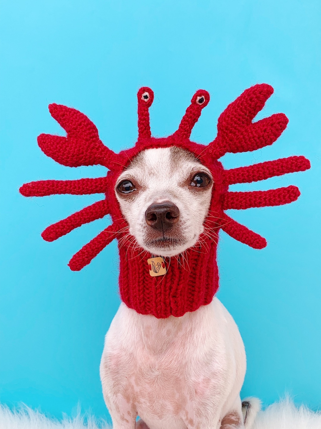 Crab Dog Hat, Crab Dog Snood, Crab Dog Costume, Pet Ear Warmer