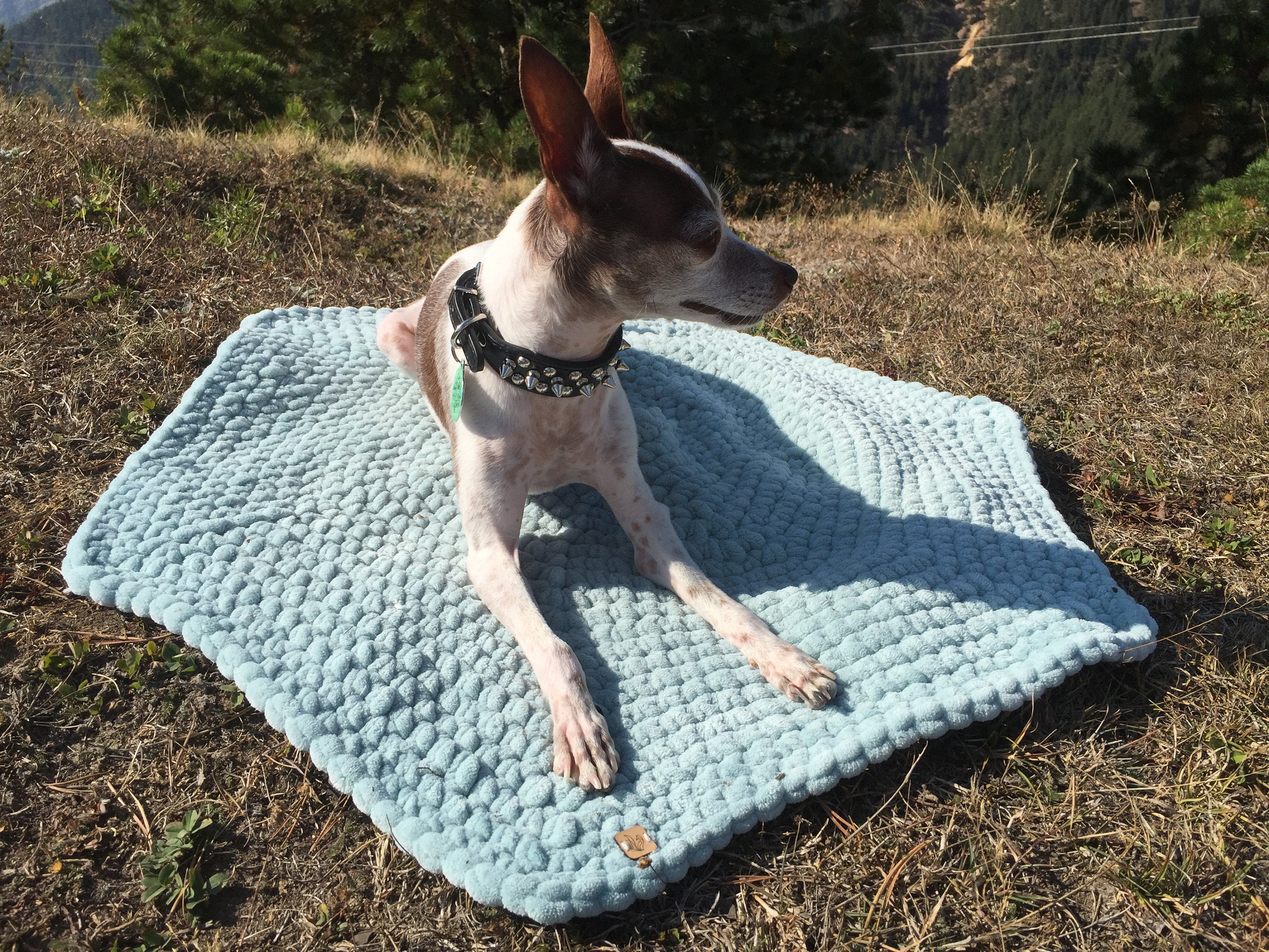 Crochet Dog Mat Camping Mat for Dog Dog Picnic Blanket Etsy