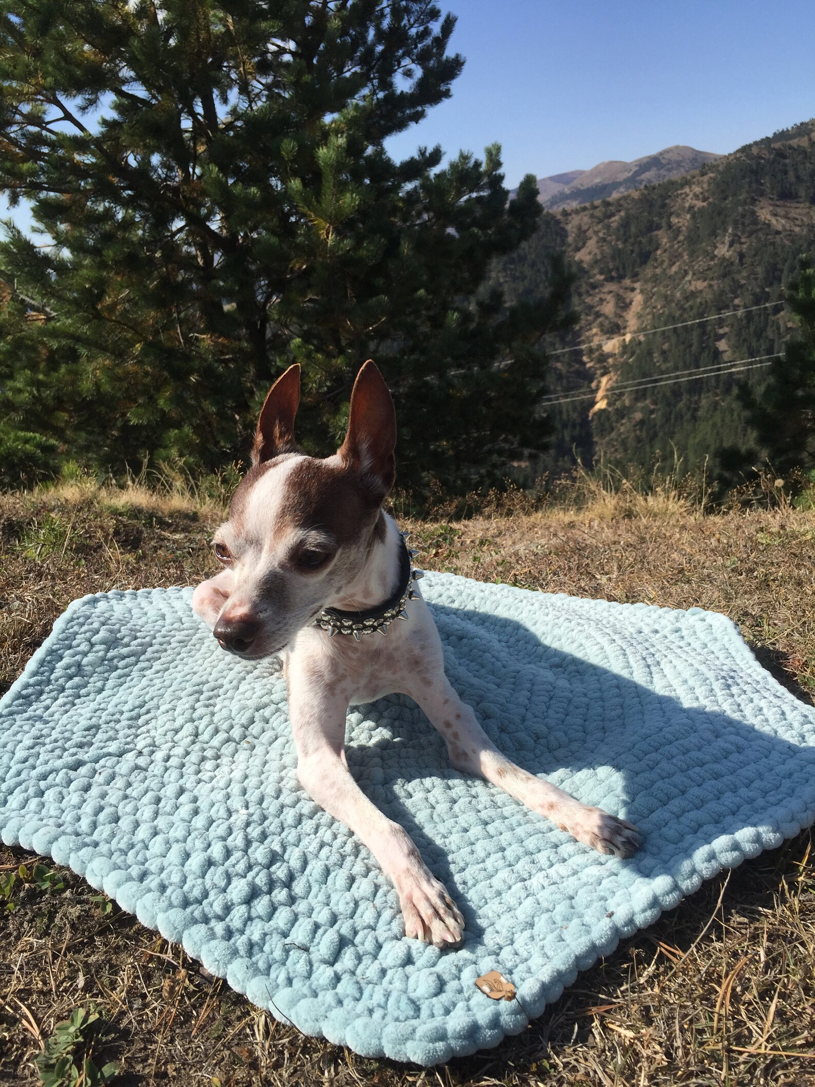 Crochet Dog Mat Camping Mat for Dog Dog Picnic Blanket Etsy