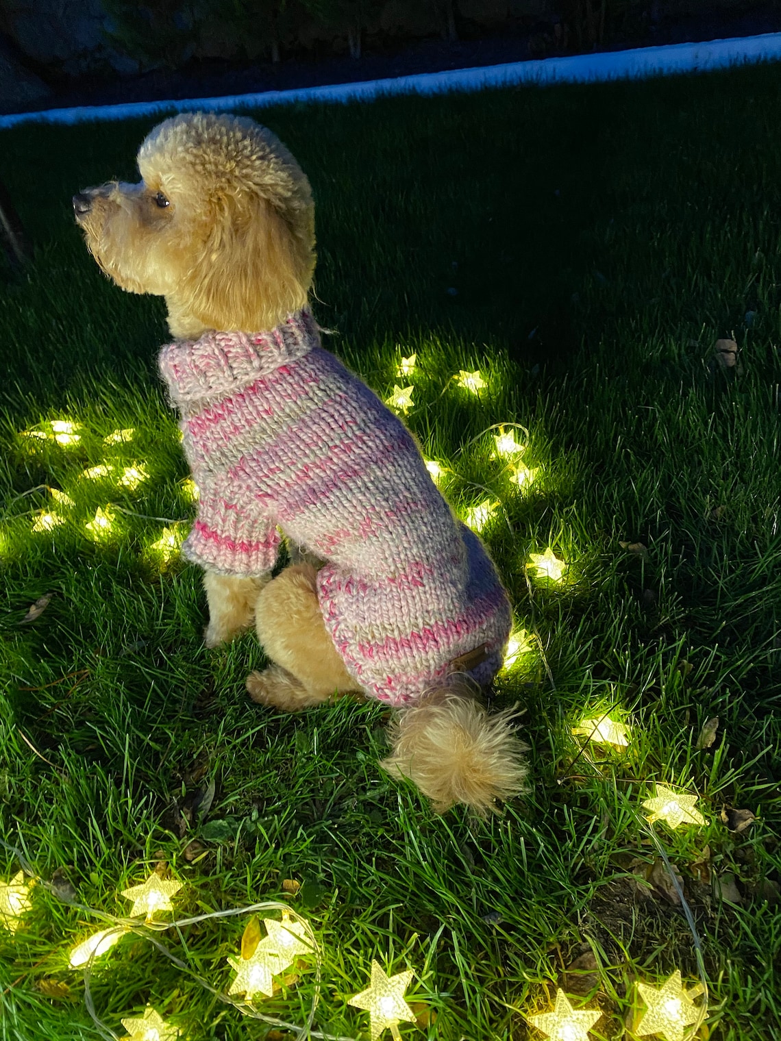 Thick Dog Sweater Turtleneck Dog Sweater Warm Puppy Jumper | Etsy