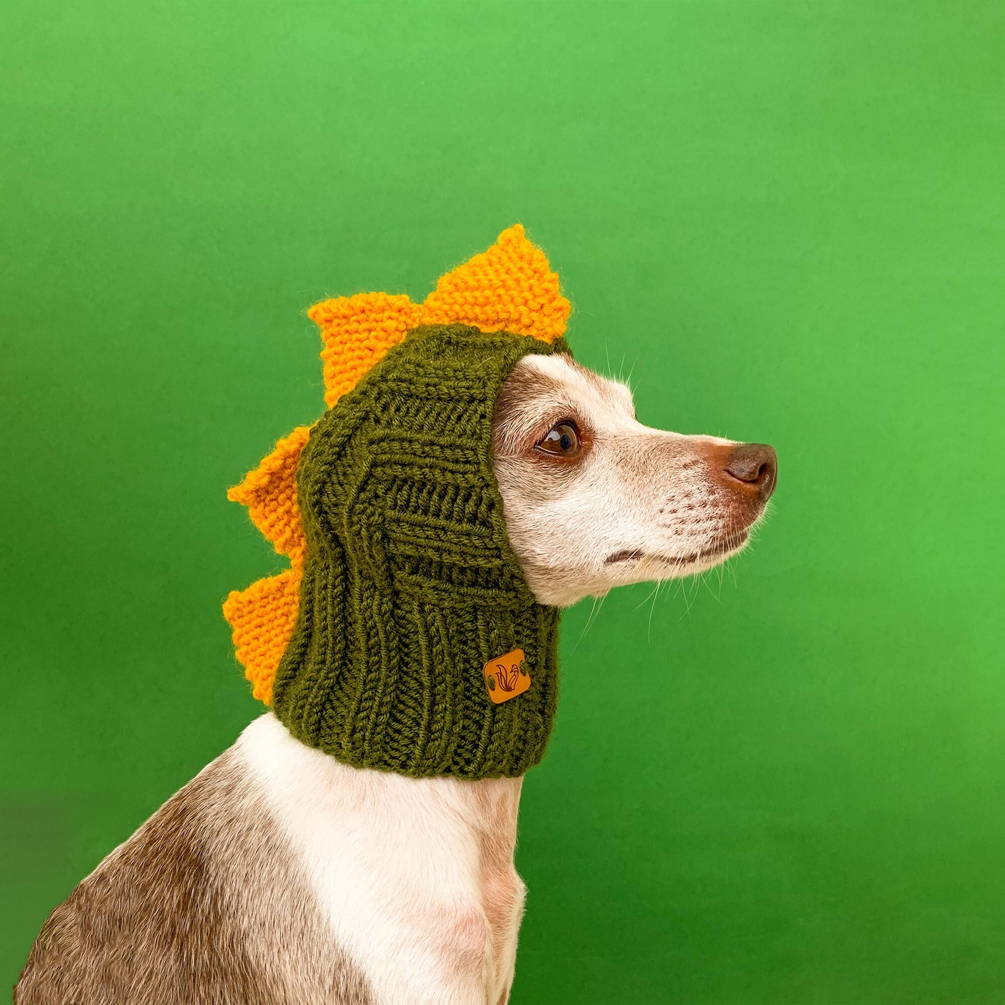 Ear warmers top for dogs