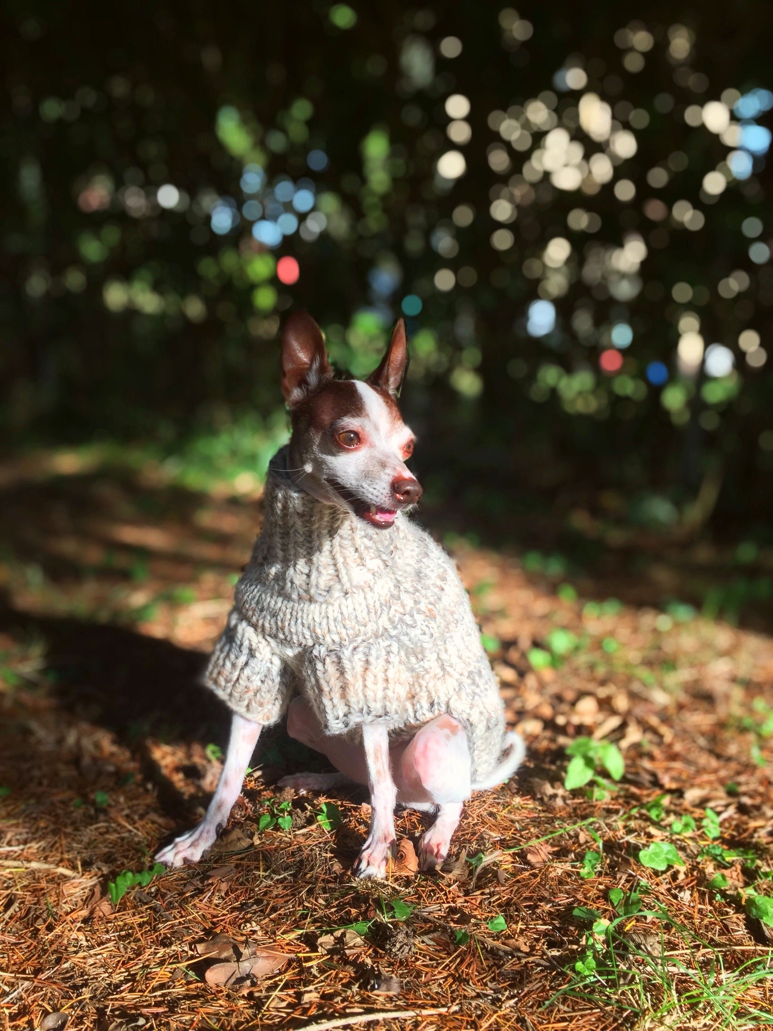 Thick Dog Sweater Turtleneck Dog Sweater Warm Puppy Jumper | Etsy