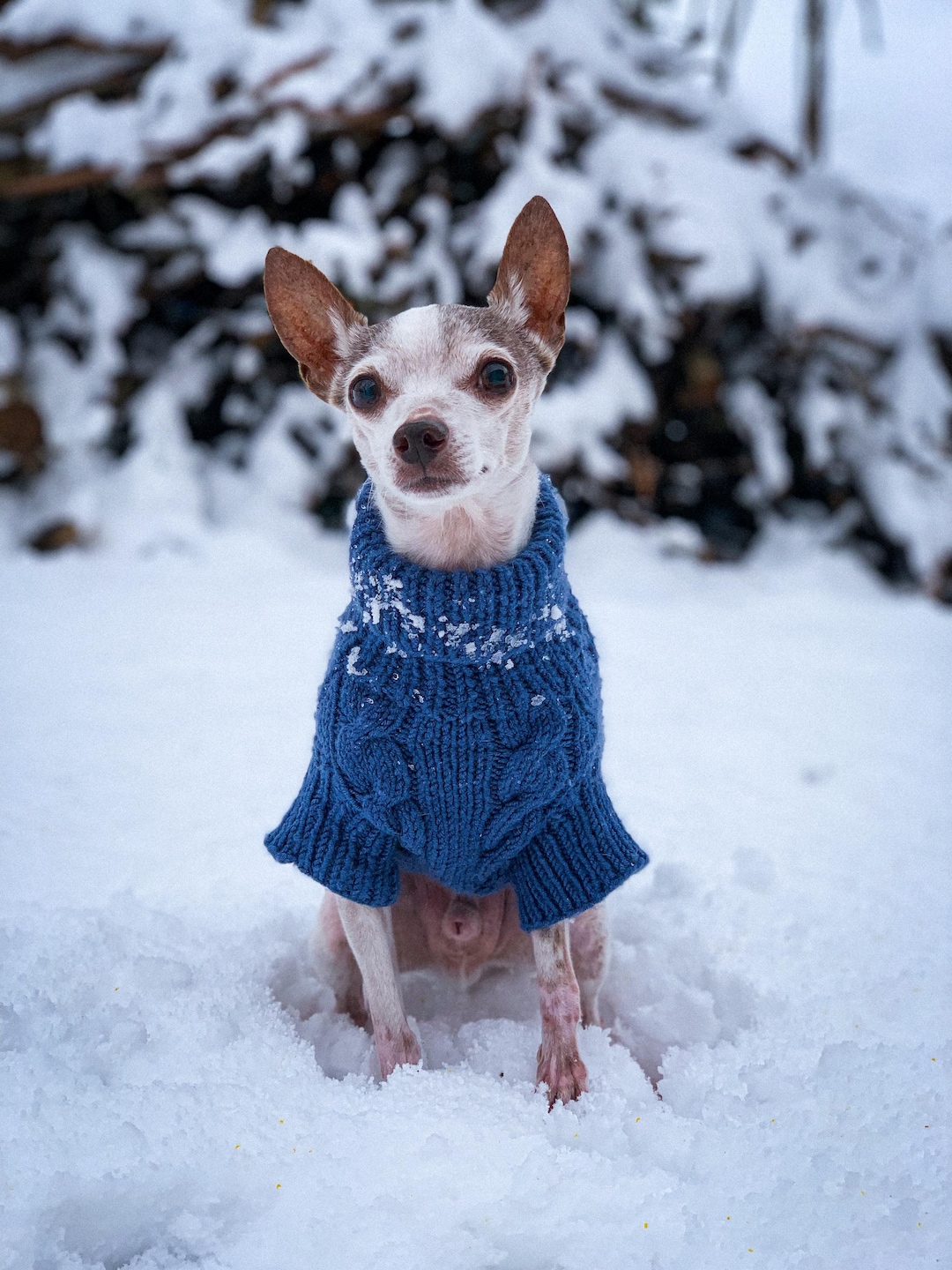 Cable Knit Dog Sweater, Fisherman Dog Sweater, Turtleneck Dog